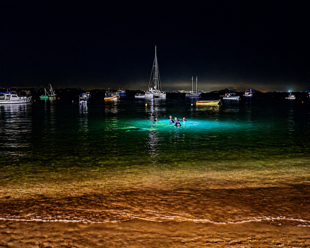 PADI Night Diver ( Mergulho Noturno )