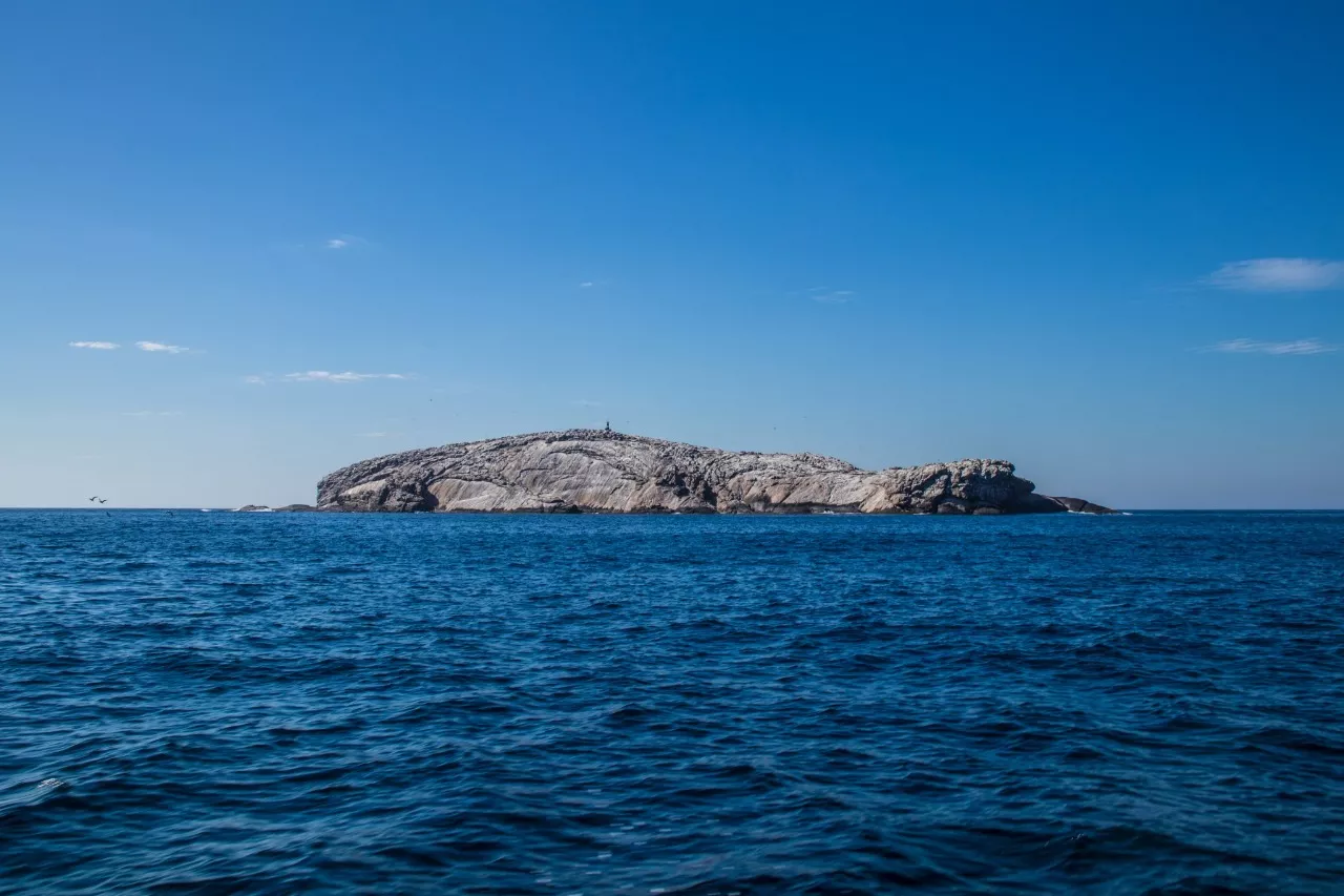 Laje de Santos – SP